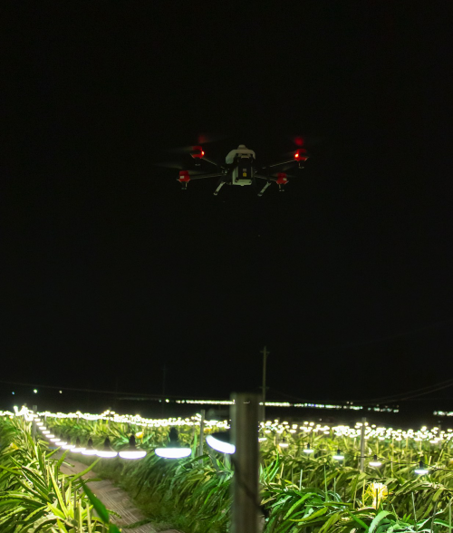 夜間水稻直播、果樹(shù)植保